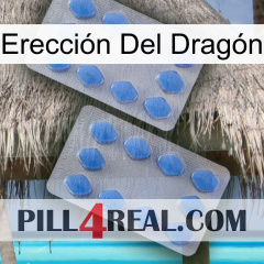 Erección Del Dragón 20